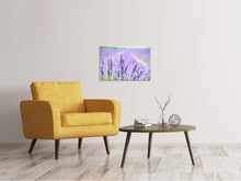 Laden Sie das Bild in den Galerie-Viewer, Leinwandbild Die Lavendelblüte