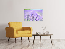 Laden Sie das Bild in den Galerie-Viewer, Leinwandbild Die Lavendelblüte