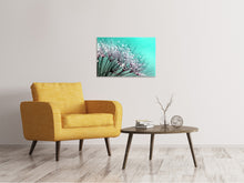Laden Sie das Bild in den Galerie-Viewer, Leinwandbild Makro Löwenzahn