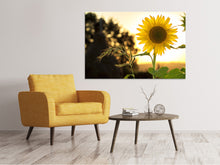 Laden Sie das Bild in den Galerie-Viewer, Leinwandbild Sonnenblume im Sonnenaufgang