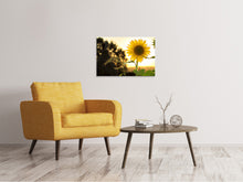 Laden Sie das Bild in den Galerie-Viewer, Leinwandbild Sonnenblume im Sonnenaufgang