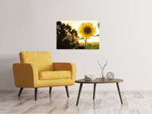 Laden Sie das Bild in den Galerie-Viewer, Leinwandbild Sonnenblume im Sonnenaufgang