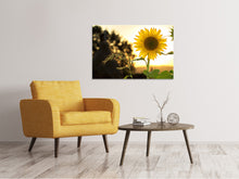 Laden Sie das Bild in den Galerie-Viewer, Leinwandbild Sonnenblume im Sonnenaufgang