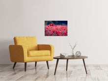 Laden Sie das Bild in den Galerie-Viewer, Leinwandbild Im Mohn Feld