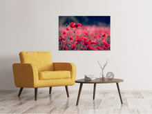 Laden Sie das Bild in den Galerie-Viewer, Leinwandbild Im Mohn Feld