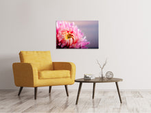 Laden Sie das Bild in den Galerie-Viewer, Leinwandbild Makro Chrysantheme