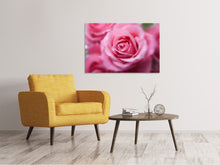 Laden Sie das Bild in den Galerie-Viewer, Leinwandbild Rosen Makro