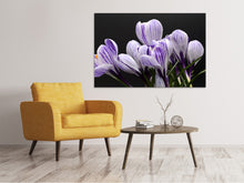 Laden Sie das Bild in den Galerie-Viewer, Leinwandbild Der Krokus