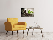 Laden Sie das Bild in den Galerie-Viewer, Leinwandbild Mohnsamen