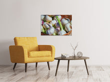 Laden Sie das Bild in den Galerie-Viewer, Leinwandbild Frischer Knoblauch