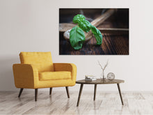 Laden Sie das Bild in den Galerie-Viewer, Leinwandbild Frischer Basilikum XL