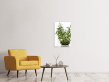 Laden Sie das Bild in den Galerie-Viewer, Leinwandbild Rosmarin im Topf