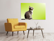 Laden Sie das Bild in den Galerie-Viewer, Leinwandbild Pop Art Katze XL