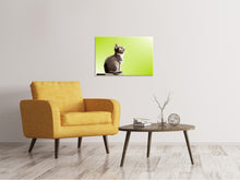 Laden Sie das Bild in den Galerie-Viewer, Leinwandbild Pop Art Katze XL