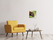Laden Sie das Bild in den Galerie-Viewer, Leinwandbild Pop Art Tiger