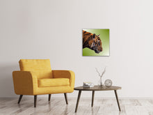 Laden Sie das Bild in den Galerie-Viewer, Leinwandbild Pop Art Tiger