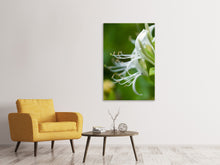 Laden Sie das Bild in den Galerie-Viewer, Leinwandbild Makro Blüte