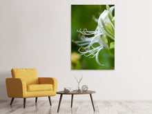 Laden Sie das Bild in den Galerie-Viewer, Leinwandbild Makro Blüte
