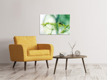 Laden Sie das Bild in den Galerie-Viewer, Leinwandbild XXL Pastinak