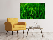 Laden Sie das Bild in den Galerie-Viewer, Leinwandbild Gras mit Morgentau