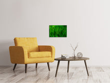 Laden Sie das Bild in den Galerie-Viewer, Leinwandbild Gras mit Morgentau