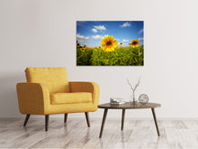 Laden Sie das Bild in den Galerie-Viewer, Leinwandbild Sommer-Sonnenblumen