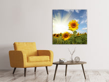 Laden Sie das Bild in den Galerie-Viewer, Leinwandbild Sonnenblumen im Sonnenlicht