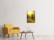 Laden Sie das Bild in den Galerie-Viewer, Leinwandbild Waldspaziergang in der Herbstsonne