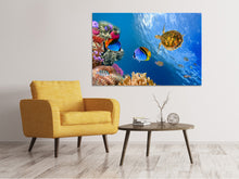 Laden Sie das Bild in den Galerie-Viewer, Leinwandbild Fisch im Wasser