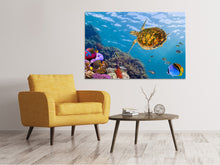 Laden Sie das Bild in den Galerie-Viewer, Leinwandbild Die Wasserschildkröte