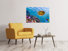 Laden Sie das Bild in den Galerie-Viewer, Leinwandbild Die Wasserschildkröte