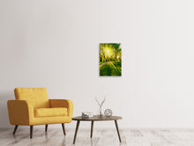 Laden Sie das Bild in den Galerie-Viewer, Leinwandbild Waldweg im Sonnenlicht