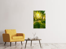 Laden Sie das Bild in den Galerie-Viewer, Leinwandbild Waldweg im Sonnenlicht
