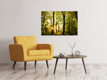 Laden Sie das Bild in den Galerie-Viewer, Leinwandbild Sonnenuntergang zwischen den Bäumen