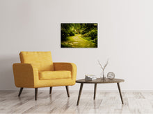 Laden Sie das Bild in den Galerie-Viewer, Leinwandbild Der bemooste Weg