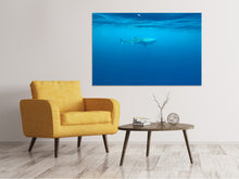 Laden Sie das Bild in den Galerie-Viewer, Leinwandbild Der Walhai