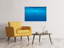 Laden Sie das Bild in den Galerie-Viewer, Leinwandbild Der Walhai