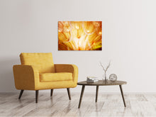 Laden Sie das Bild in den Galerie-Viewer, Leinwandbild Close Up Pusteblume im Licht