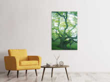 Laden Sie das Bild in den Galerie-Viewer, Leinwandbild Der alte Baum