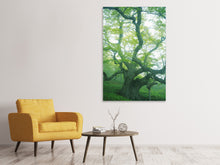Laden Sie das Bild in den Galerie-Viewer, Leinwandbild Der alte Baum