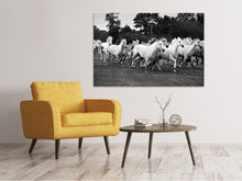 Laden Sie das Bild in den Galerie-Viewer, Leinwandbild Die Mustang Herde