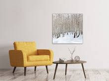 Laden Sie das Bild in den Galerie-Viewer, Leinwandbild Birkenwald-Spuren im Schnee