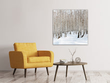 Laden Sie das Bild in den Galerie-Viewer, Leinwandbild Birkenwald-Spuren im Schnee