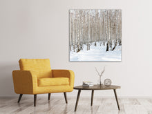 Laden Sie das Bild in den Galerie-Viewer, Leinwandbild Birkenwald-Spuren im Schnee