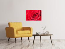 Laden Sie das Bild in den Galerie-Viewer, Leinwandbild Rote Rose im Morgentau