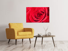 Laden Sie das Bild in den Galerie-Viewer, Leinwandbild Rote Rose im Morgentau