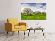 Laden Sie das Bild in den Galerie-Viewer, Leinwandbild Apfelbaum-Garten