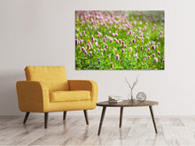 Laden Sie das Bild in den Galerie-Viewer, Leinwandbild Der Wiesenklee
