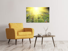 Laden Sie das Bild in den Galerie-Viewer, Leinwandbild Blumige Wiese