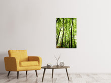 Laden Sie das Bild in den Galerie-Viewer, Leinwandbild Wald